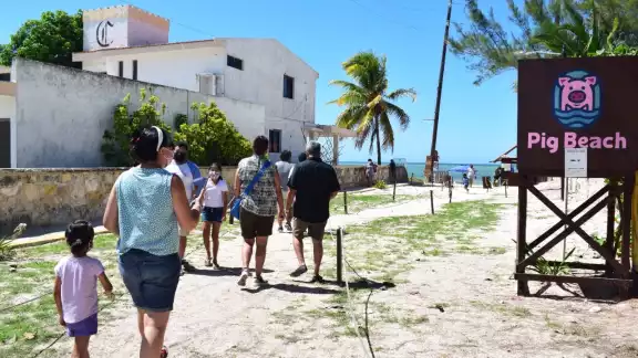 Pig Beach fue uno de los más afectados al disminuir en más del 50 por ciento en sus visitas tras superar cifras récord Pig Beach fue uno de los más afectados al disminuir en más del 50 por ciento en sus visitas tras superar cifras récord