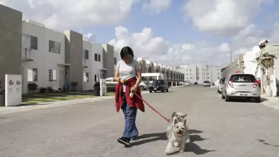 Aseguran que las autoridades deberán transparentar los recursos recaudado y destinarlos a campañas para los animales de la calle Aseguran que las autoridades deberán transparentar los recursos recaudado y destinarlos a campañas para los animales de la calle