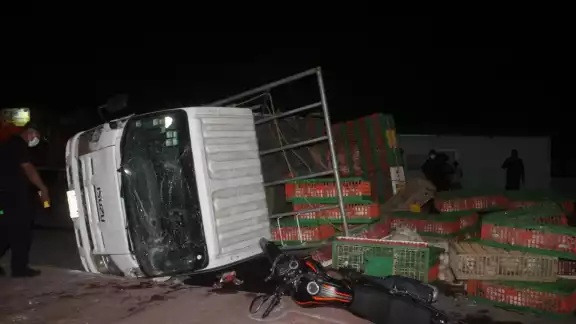 Los pollos terminaron regados en la comisaría de Colonia Yucatán en Tizimín Los pollos terminaron regados en la comisaría de Colonia Yucatán en Tizimín