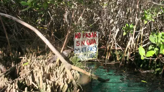 Protección Civil prohibió el acceso al sitio