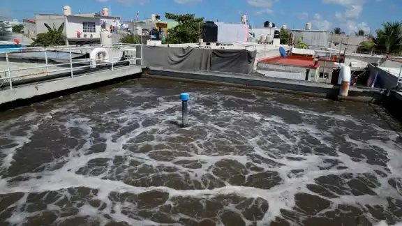 Los principales contaminantes son el nitrógeno y fósforo, compuestos orgánicos, bacterias fecales Los principales contaminantes son el nitrógeno y fósforo, compuestos orgánicos, bacterias fecales