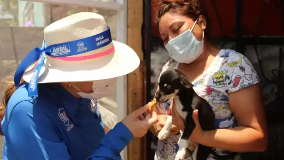Abril Ferreyro legislará derechos de los animales Abril Ferreyro legislará derechos de los animales