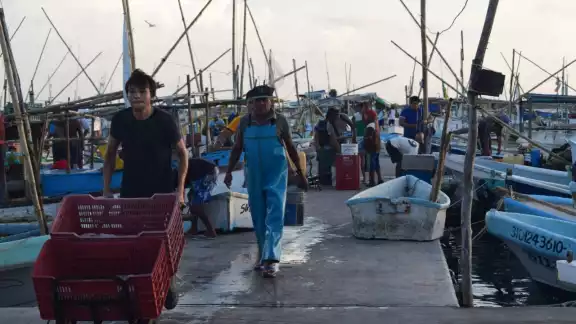 Las condiciones climáticas propiciaron que se detuviera la actividad del mar