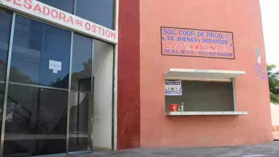 La planta tenía elevar los índices de comercialización del producto, darle valor agregado La planta tenía elevar los índices de comercialización del producto, darle valor agregado