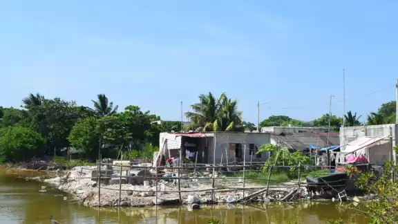 Habitantes del rumbo aseguran que familias han comenzado a construir sus viviendas con cemento en el manglar de Chicxulub Habitantes del rumbo aseguran que familias han comenzado a construir sus viviendas con cemento en el manglar de Chicxulub