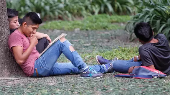 En las conclusiones de la investigación exponen que el fenómeno de los jóvenes “nini” es una realidad en las comunidades rurales de Campeche En las conclusiones de la investigación exponen que el fenómeno de los jóvenes “nini” es una realidad en las comunidades rurales de Campeche