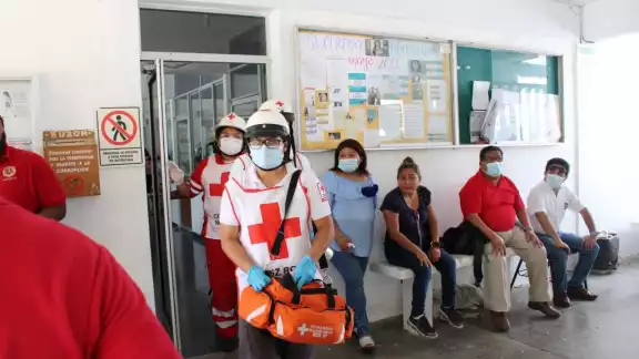 Paramédicos de la Cruz Roja auxiliaron a 15 estudiantes que fueron picados por abejas en Campeche Paramédicos de la Cruz Roja auxiliaron a 15 estudiantes que fueron picados por abejas en Campeche