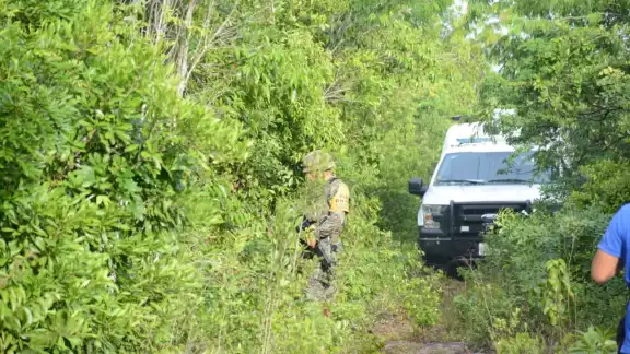 Este año, la delegación Alfredo V. Bonfil se ha visto envuelta en hechos delictivos, entre ellos, asesinatos a balazos