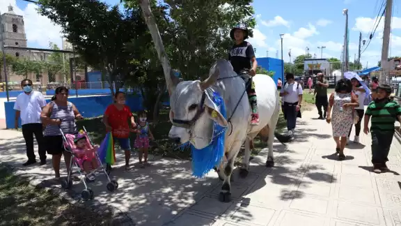 El enorme toro se llama Junior y tiene 8 años El enorme toro se llama Junior y tiene 8 años