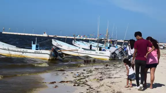 La marea roja apenas se encuentra en los primeros días de una larga travesía, señalan La marea roja apenas se encuentra en los primeros días de una larga travesía, señalan