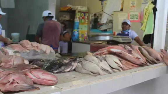 Este tipo de negocios tendrán que cuidar que los mariscos se encuentren en buen estado