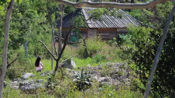 5 de cada 10 residentes de la Península son pobres, 4 de ellos vive en carencia moderada y uno más en pobreza extrema 5 de cada 10 residentes de la Península son pobres, 4 de ellos vive en carencia moderada y uno más en pobreza extrema