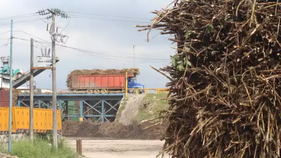 Esta medida es porque descubrieron que los ingenios se auto venden el bulto de azúcar a 750 pesos Esta medida es porque descubrieron que los ingenios se auto venden el bulto de azúcar a 750 pesos