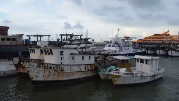El patrón del cual estaba a cargo se mencionó que es conocido en el puerto como "Tony El patrón del cual estaba a cargo se mencionó que es conocido en el puerto como "Tony
