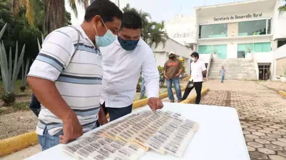 La Seder hizo entrega de 60 paquetes de abejas reina en el municipio de Peto La Seder hizo entrega de 60 paquetes de abejas reina en el municipio de Peto