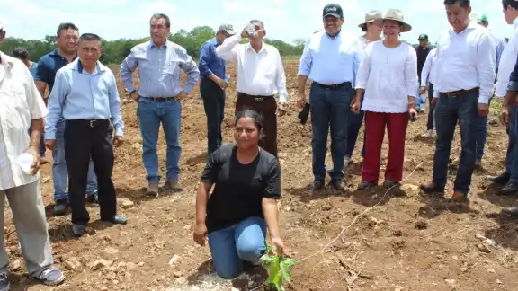 Un grupo de campesinos se queja del maltrato por parte de los inspectores del programa federal “Sembrando Vida” Un grupo de campesinos se queja del maltrato por parte de los inspectores del programa federal “Sembrando Vida”