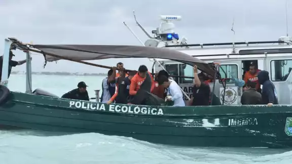 El delfín de casi tres metros y casi 200 kilos fue liberado luego de recalar en las playas de Progreso El delfín de casi tres metros y casi 200 kilos fue liberado luego de recalar en las playas de Progreso