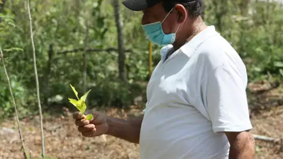 Impulso Orgánico Mexicano está respaldada por la Secretaría de Agricultura y Desarrollo Rural