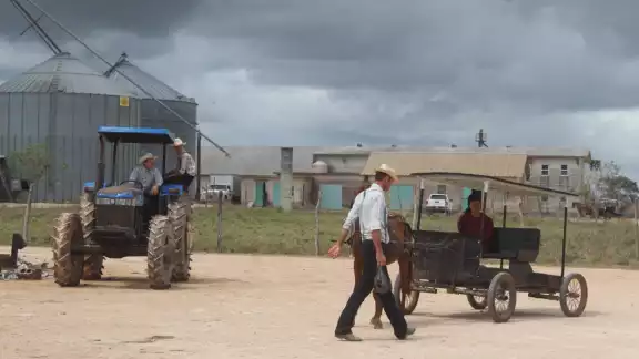 Menonitas de Bacalar parten a Perú por más tierras y leyes ambientales menos estrictas
