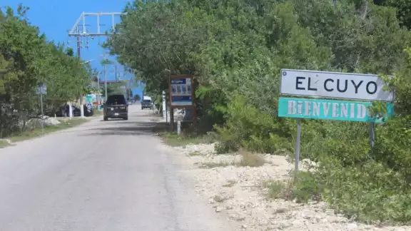 Pobladores de El Cuyo acusan que cada semana mueren más perros y gatos