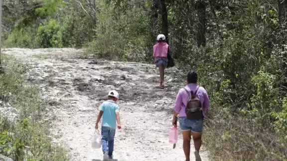Los resultados se presentarán a instancias involucradas