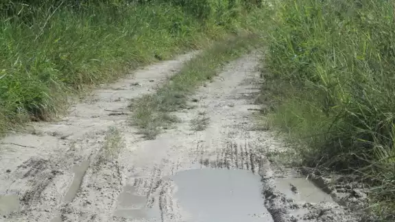 Las lluvias han afectado a varios caminos de la Ribera del Río Hondo Foto: Eric Castillo