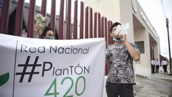 Yucatecos celebran el uso legal de la marihuana