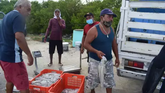 La meta de captar 18 mil 600 toneladas del octópodo ya fue rebasada