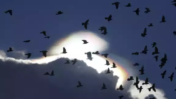 Este tipo de nubes son buenos indicadores del tiempo severo que se aproxima Este tipo de nubes son buenos indicadores del tiempo severo que se aproxima