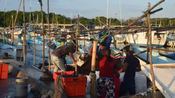 A 24 horas de que concluya la temporada los hombres de mar partieron en busca del octópodo ante el alza en el producto A 24 horas de que concluya la temporada los hombres de mar partieron en busca del octópodo ante el alza en el producto