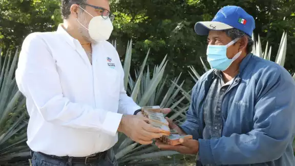 En representación de Mauricio Vila, el director de Agricultura de la Secretaría de Desarrollo Rural hizo la entrega de las abejas En representación de Mauricio Vila, el director de Agricultura de la Secretaría de Desarrollo Rural hizo la entrega de las abejas