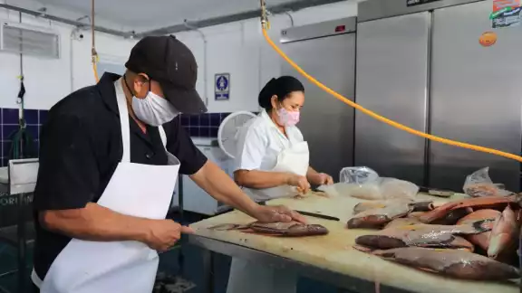 Las importaciones de Quintana Roo en 2021 fueron de 394 millones de dólares Las importaciones de Quintana Roo en 2021 fueron de 394 millones de dólares