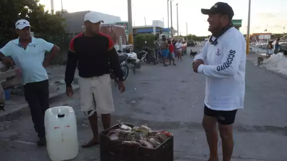 De acuerdo con los pescadores, el precio por kilogramo podría llegar a los 740 pesos De acuerdo con los pescadores, el precio por kilogramo podría llegar a los 740 pesos