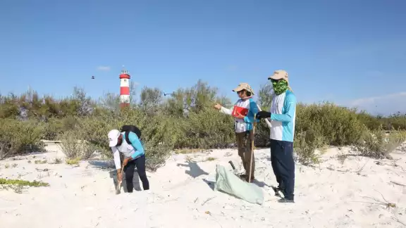 Se localiza más de 100 kilómetros al Norte de Progreso