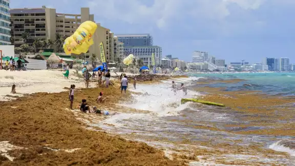 En comparación con el mismo periodo del 2022 se ha triplicado la llegada de la talofita