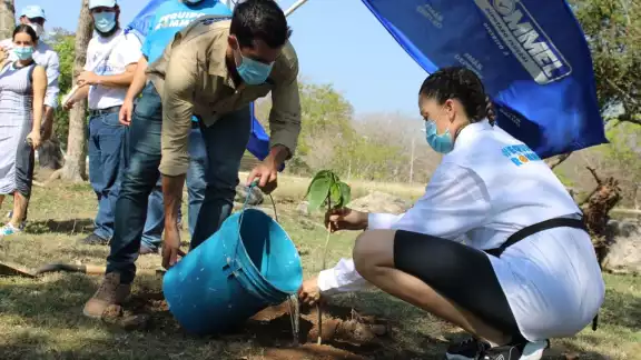 El candidato a Diputado Federal por el PAN, Rommel Pacheco,  plantó árboles de campanita y ciricote en el Parque Ecológico del Poniente