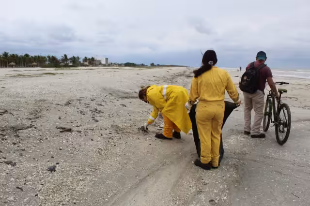 Los fuertes vientos del Frente Frío número 28 ocasionaron que chapopote recale en las costas de Playa Norte