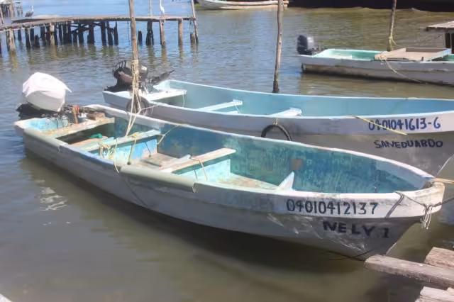 Al no poder desmontar los motores, hurtan cosas fáciles, pero con un costo importante