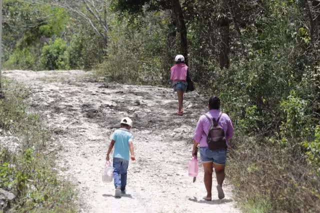 Los resultados se presentarán a instancias involucradas