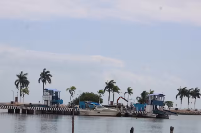 Quintana Roo es el único estado de México afectado por el alga pelágica