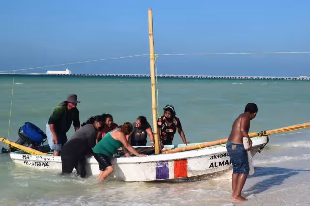 Las 'Gaviotas' en Progreso arriesgan su seguridad para poder alimentar a sus familias