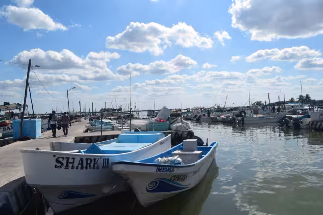 Algunos de los pescadores sobreviven con empleos improvisados