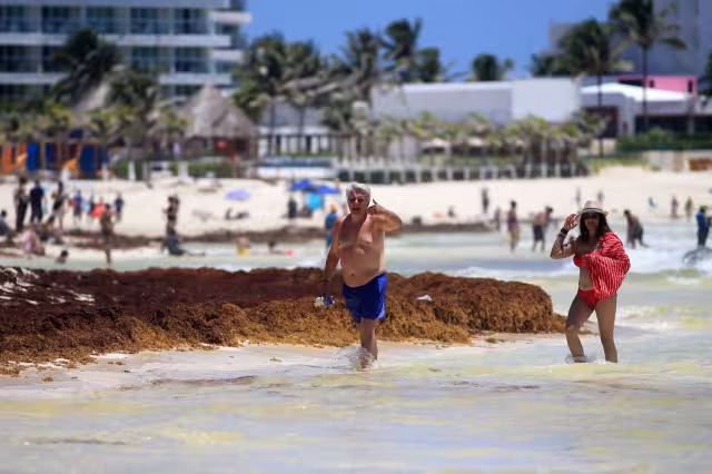 Pocos turistas se animaron a permanecer en la costa cancunense debido al viento frío y la invasión del vegetal marino, que por más que se limpia, no deja de llegar