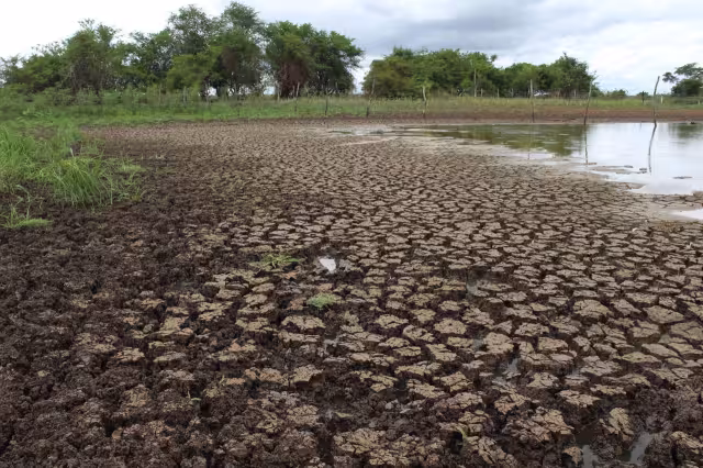 Foto: Eric Castillo.