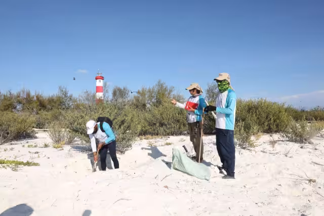 Se localiza más de 100 kilómetros al Norte de Progreso