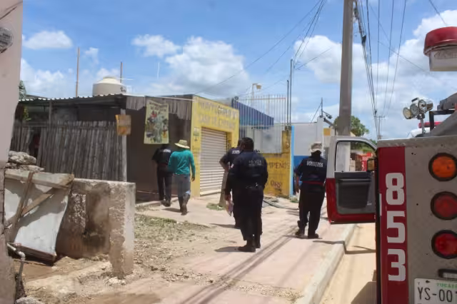 Vecinos de Tizimín pidieron apoyo por un enjambre de abejas que no los dejaba salir de su casa