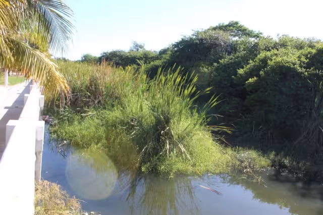 Las promesas son las mismas, así como los incumplimientos
