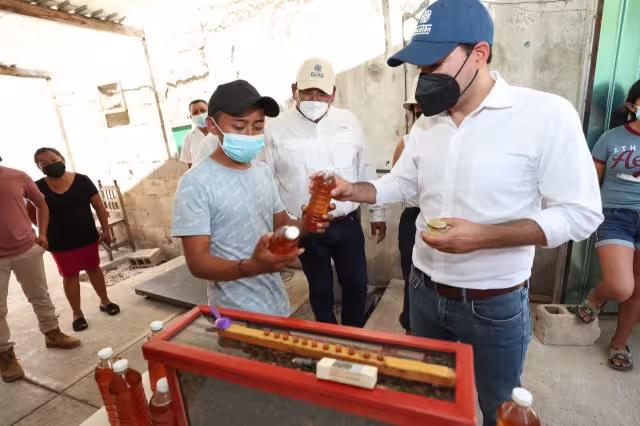 Jhonny Parra, de 21 años, crea sus propios núcleos de producción de abejas