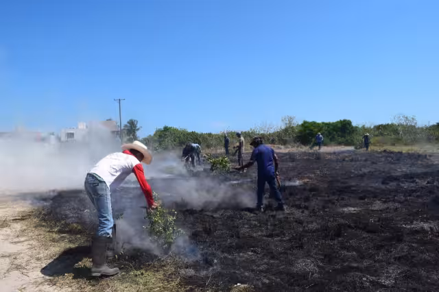 Debido al viento y las altas temperaturas la quema de hierba se salió de control provocando un incendio en la zona costera