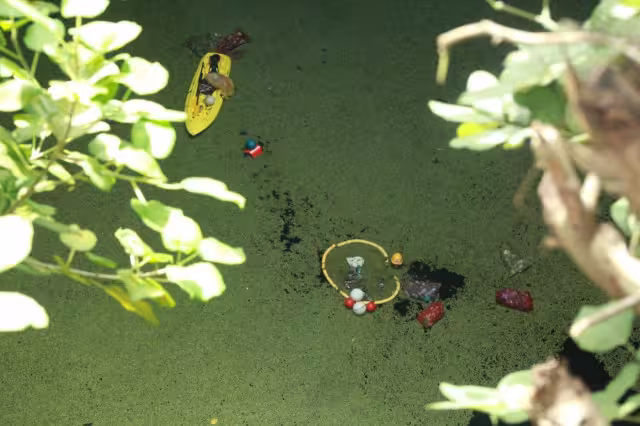 La Federación emitirá un decreto para que las fábricas dejen de dañar a los cenotes